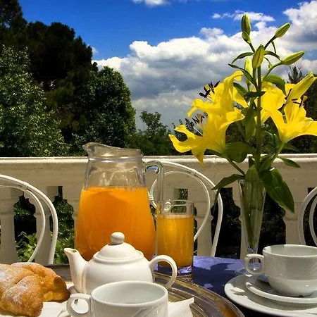 Hotel Alexander Palme 4*